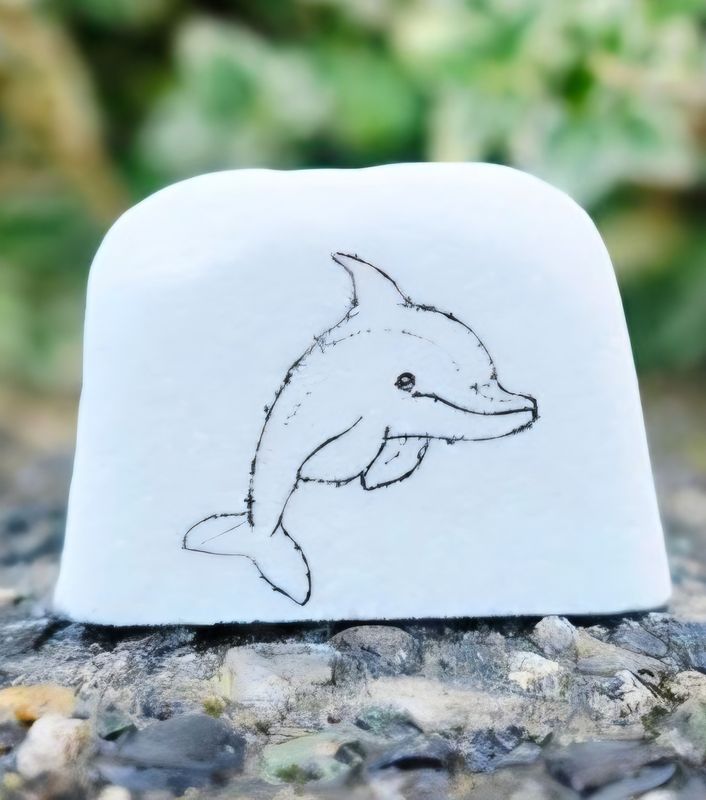Tiny Tide Dolphin