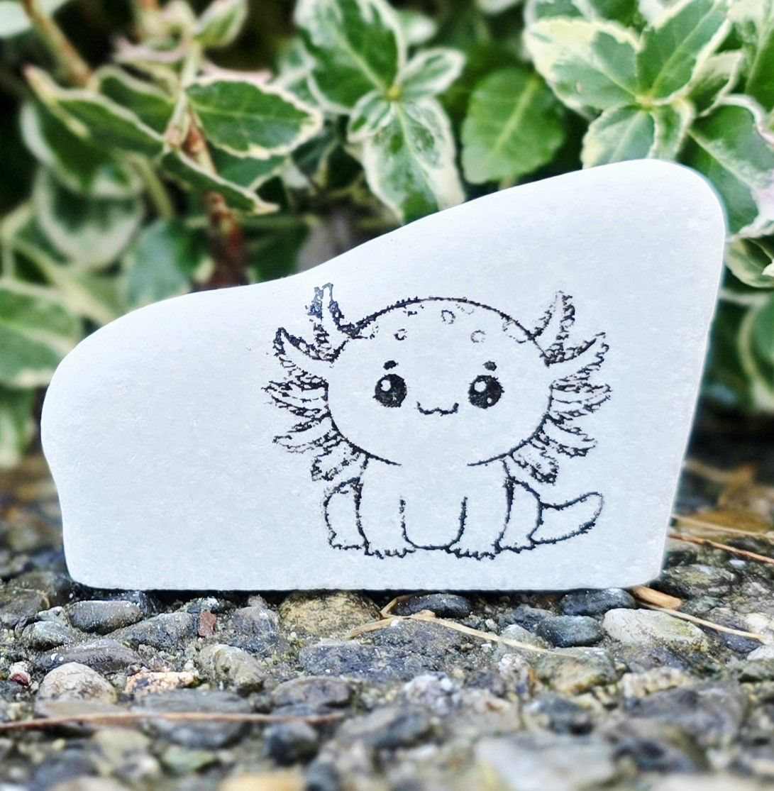 Little Axie