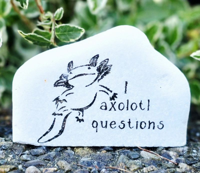 I Axolotl Questions