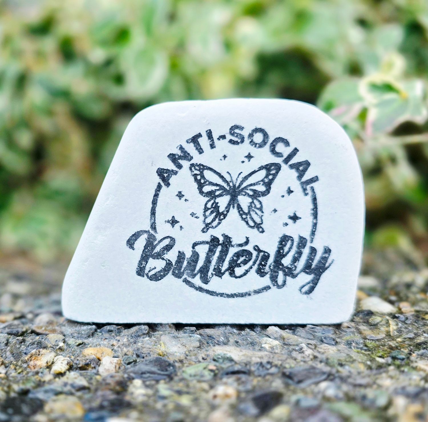 Anti Social Butterfly