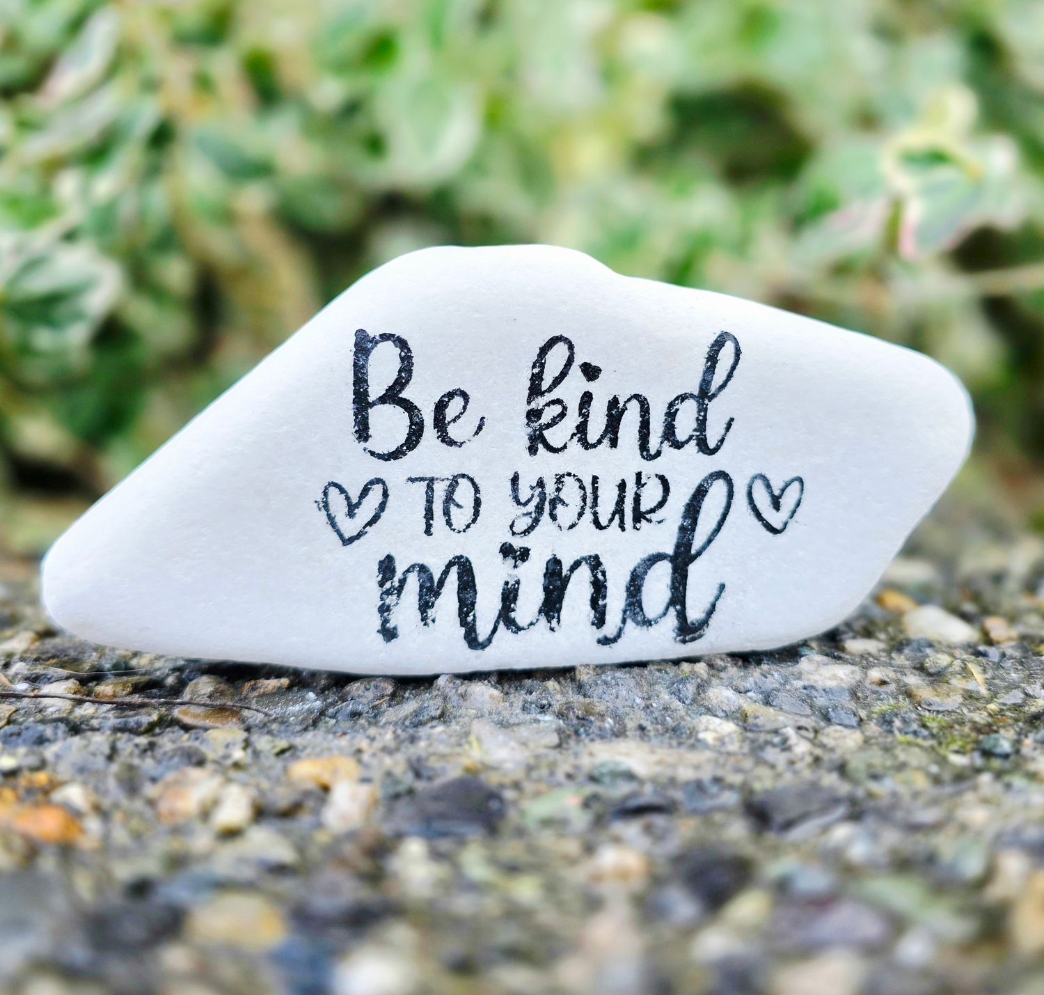 Be Kind to Your Mind