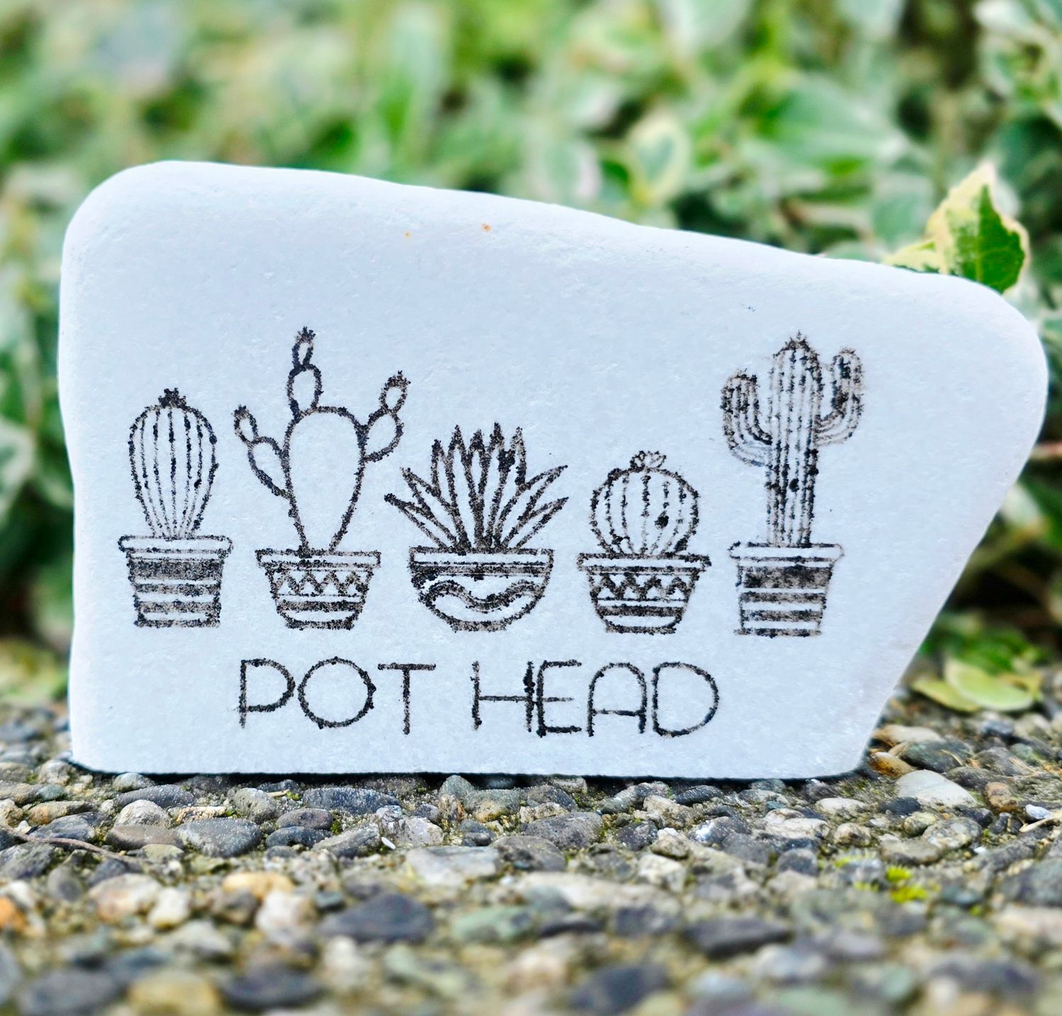 Pot Head