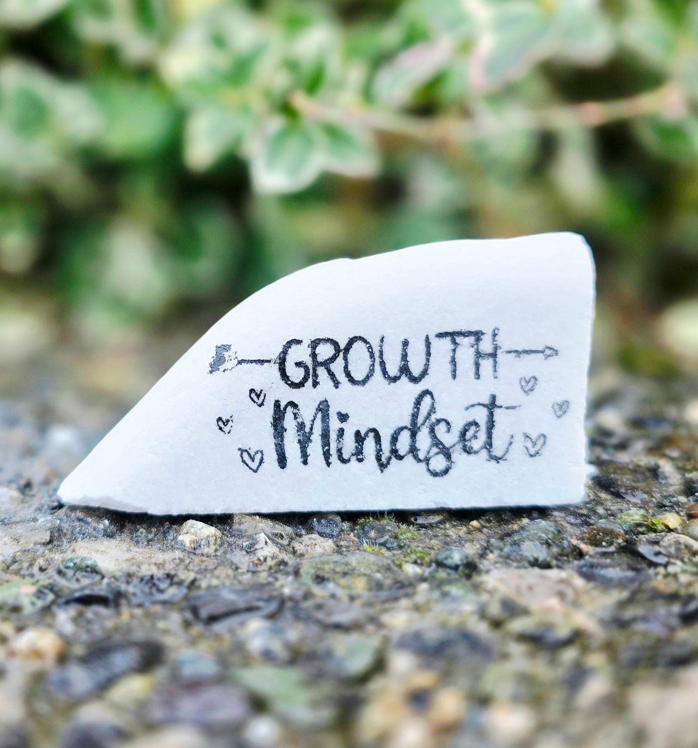 Growth Mindset