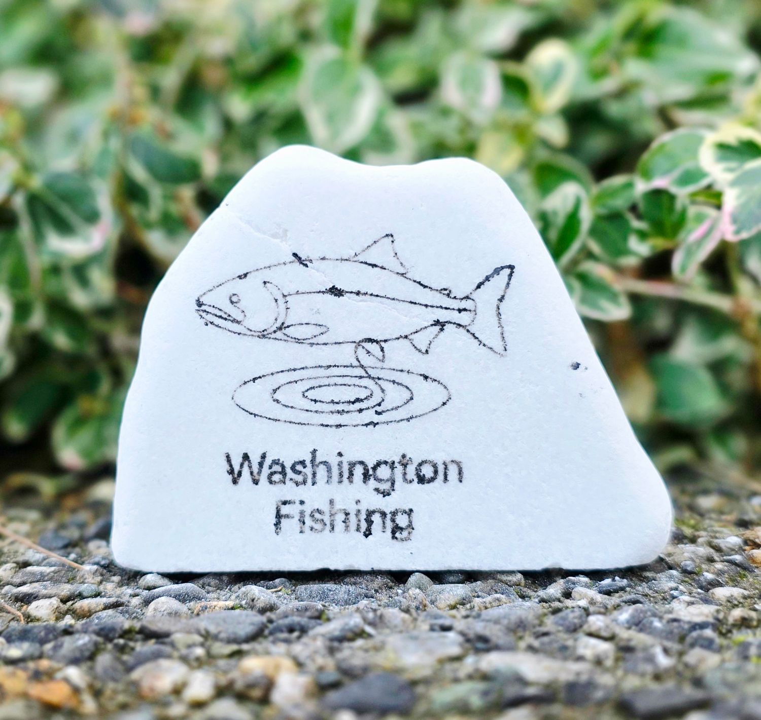 Washington Fishing
