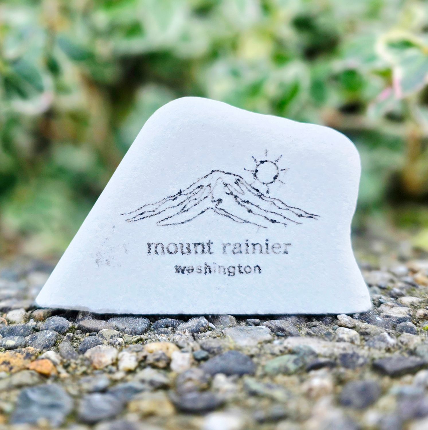 Mount Rainier Washington