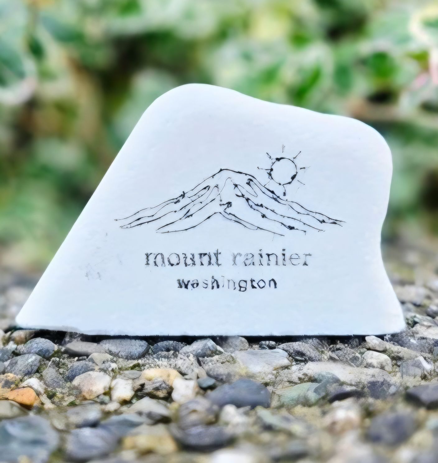 Mount Rainier Washington