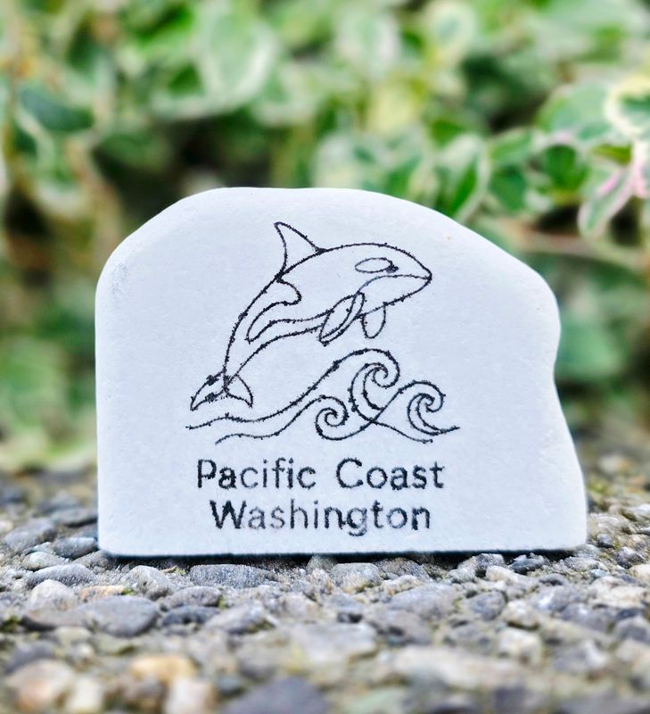 Pacific Coast Washington