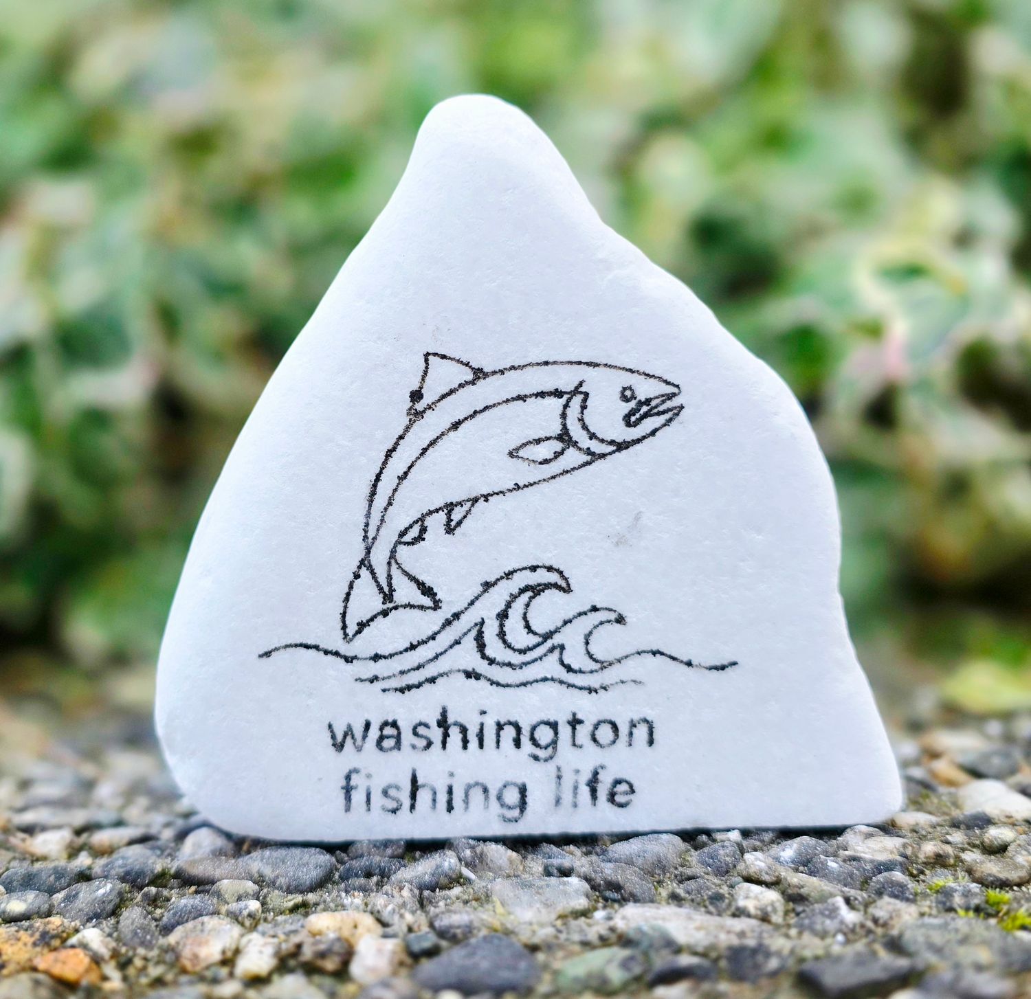 Washington Fishing Life