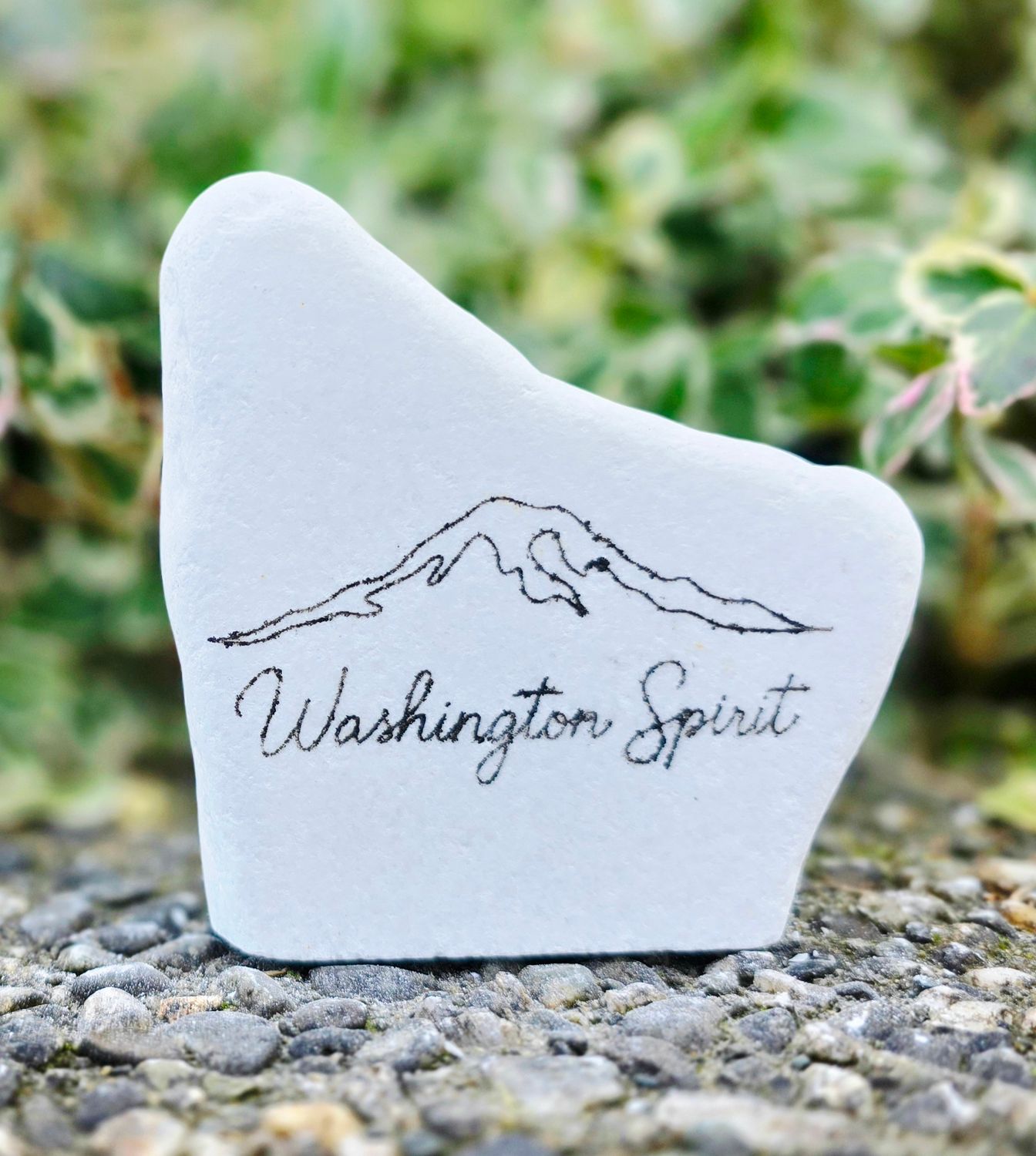 Washington Spirit