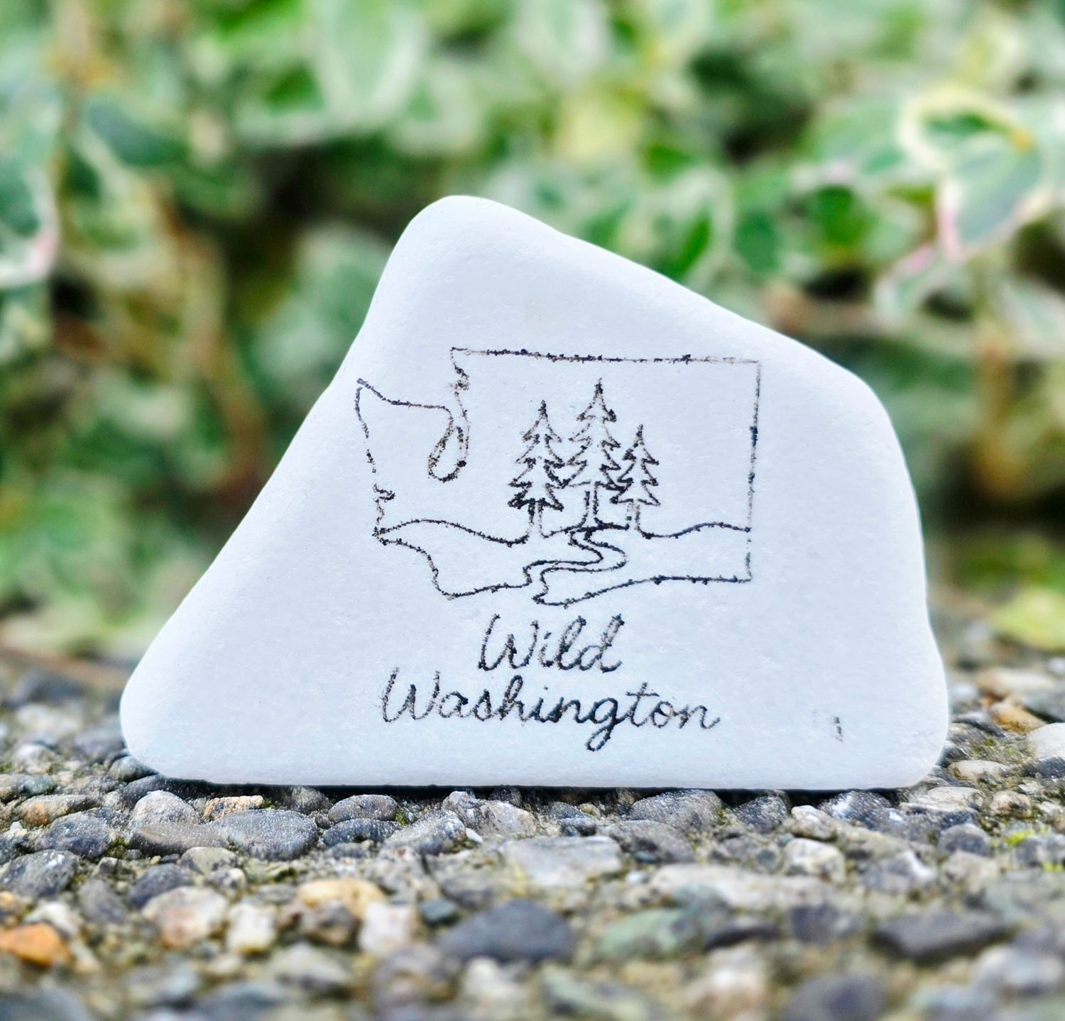 Wild Washington