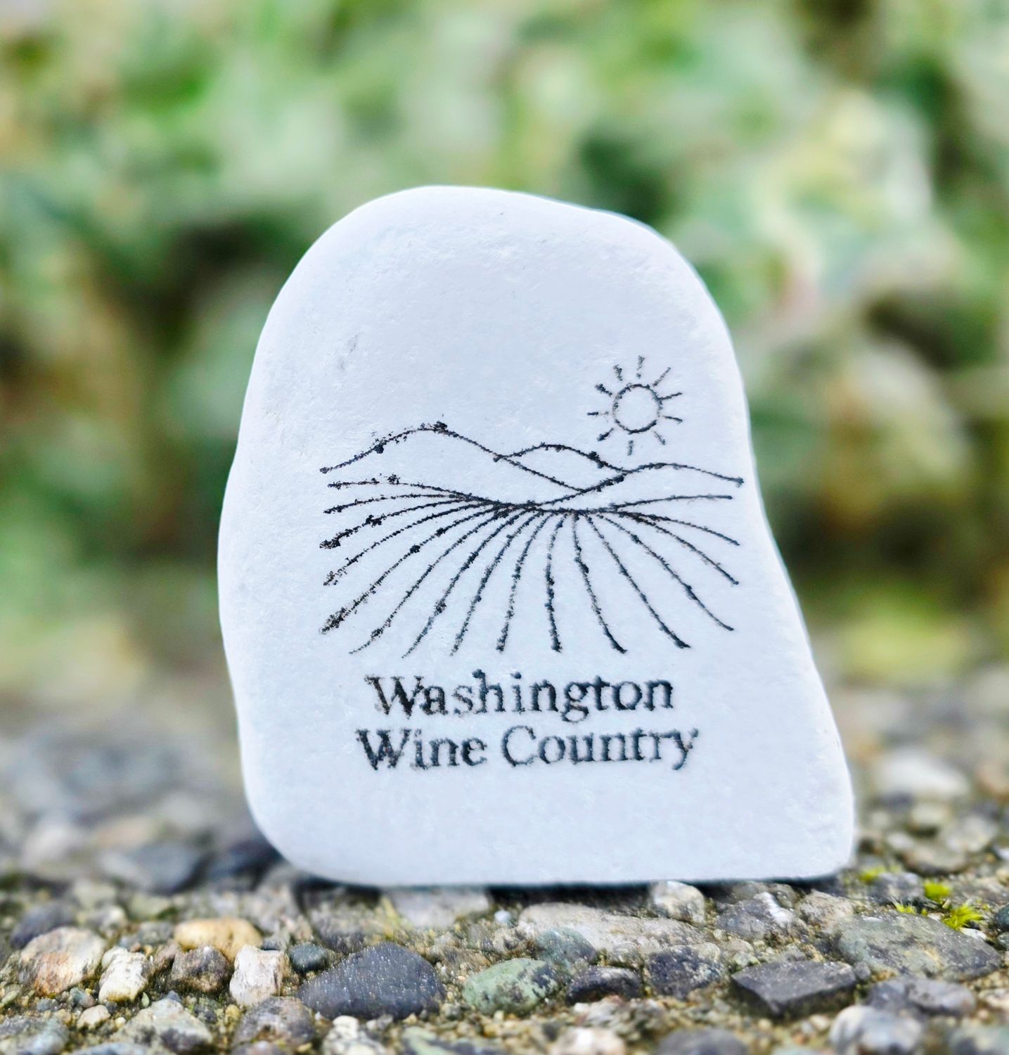 Washington Wine Country