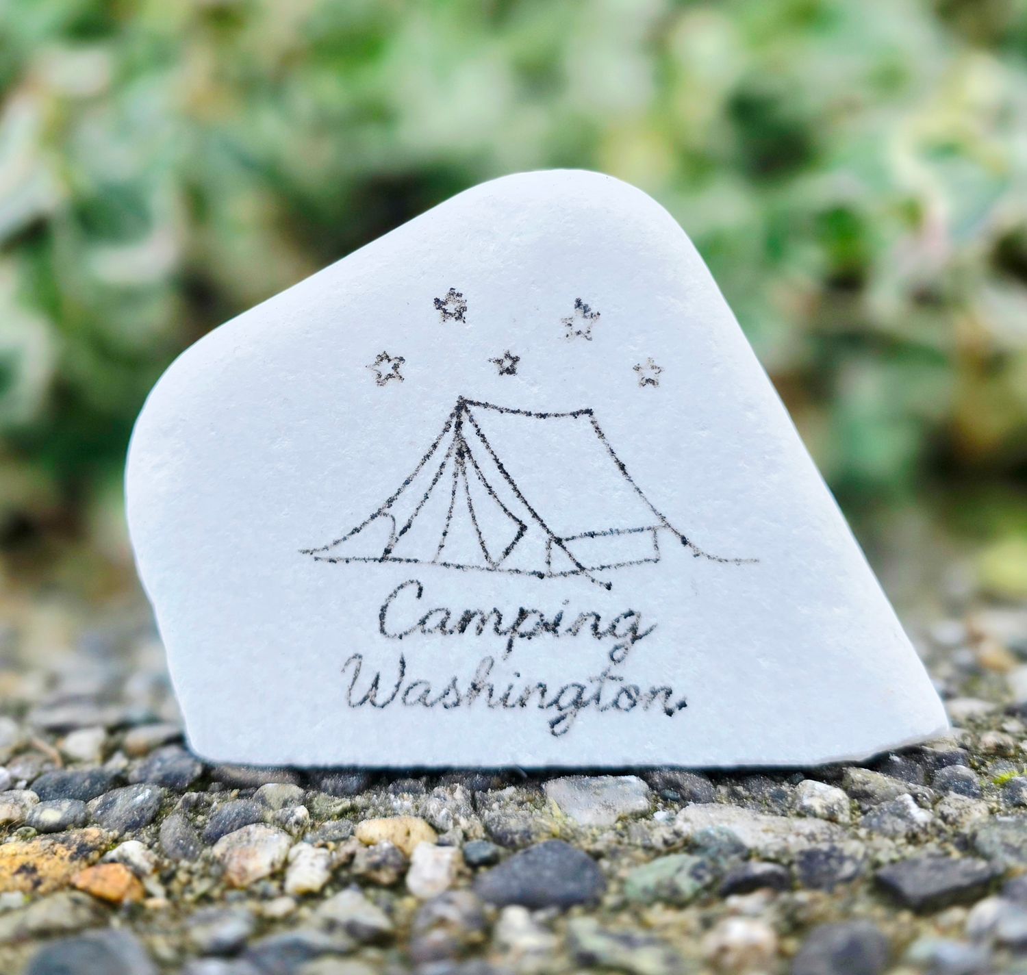 Camping Washington
