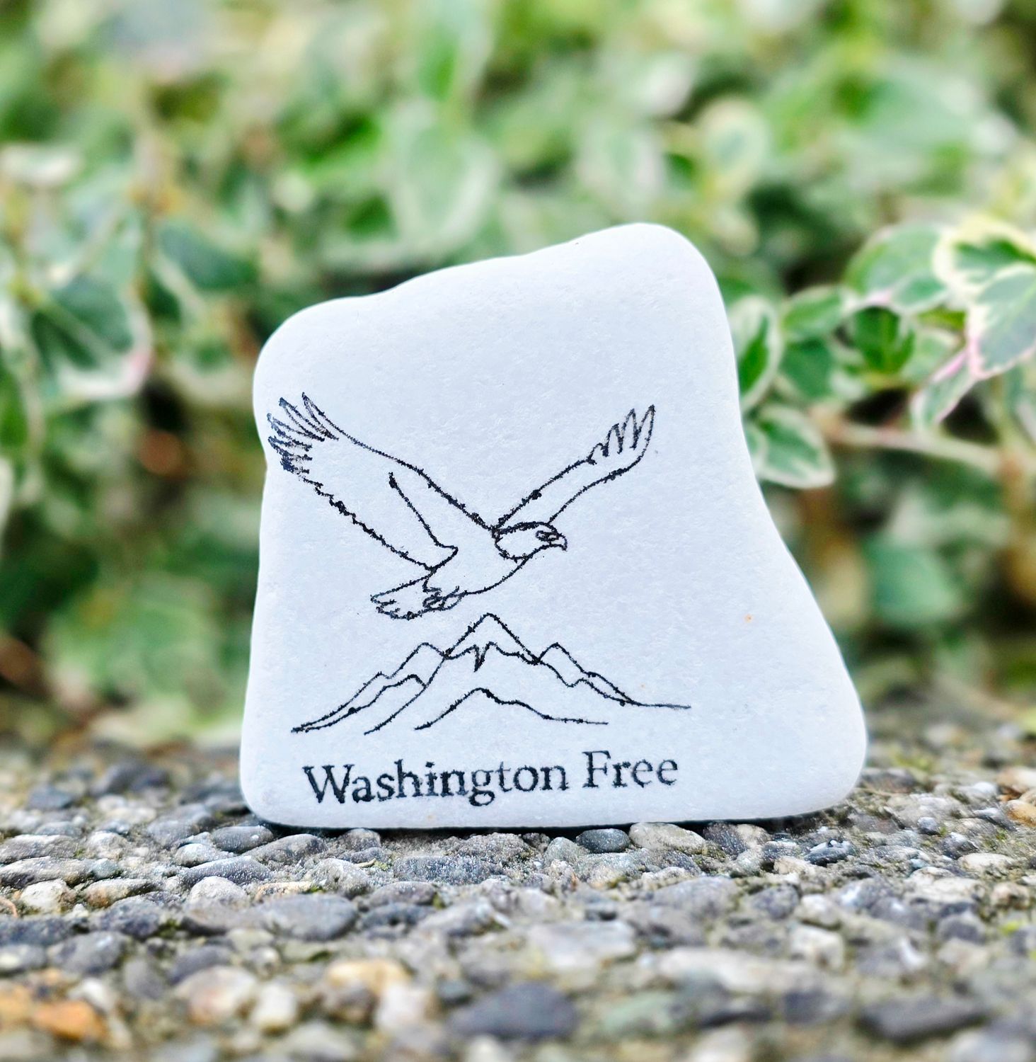 Washington Free