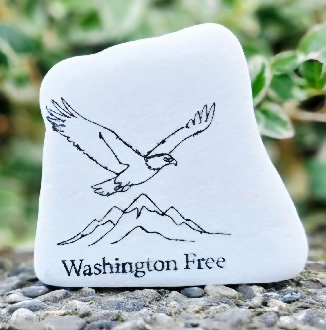 Washington Free