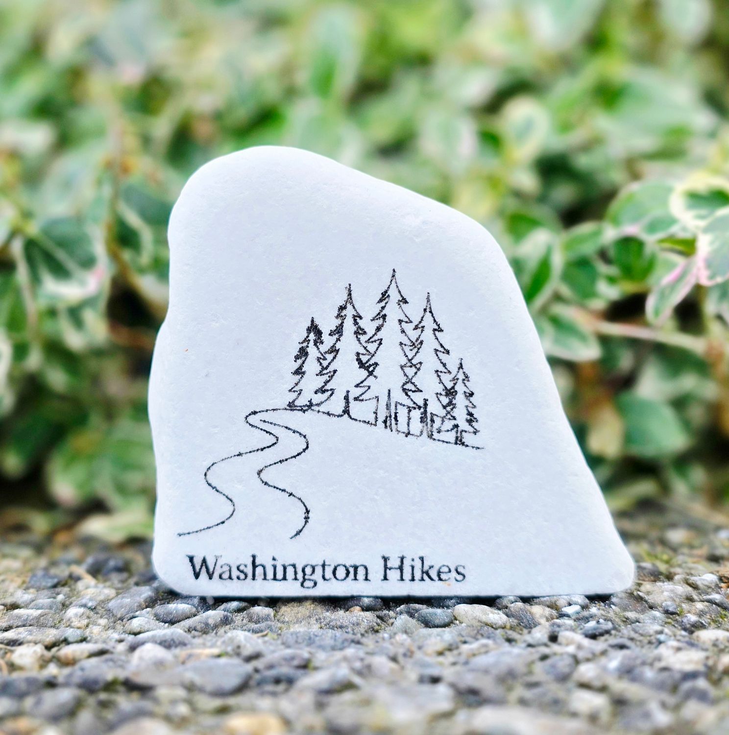 Washington Hikes Washington Hikes