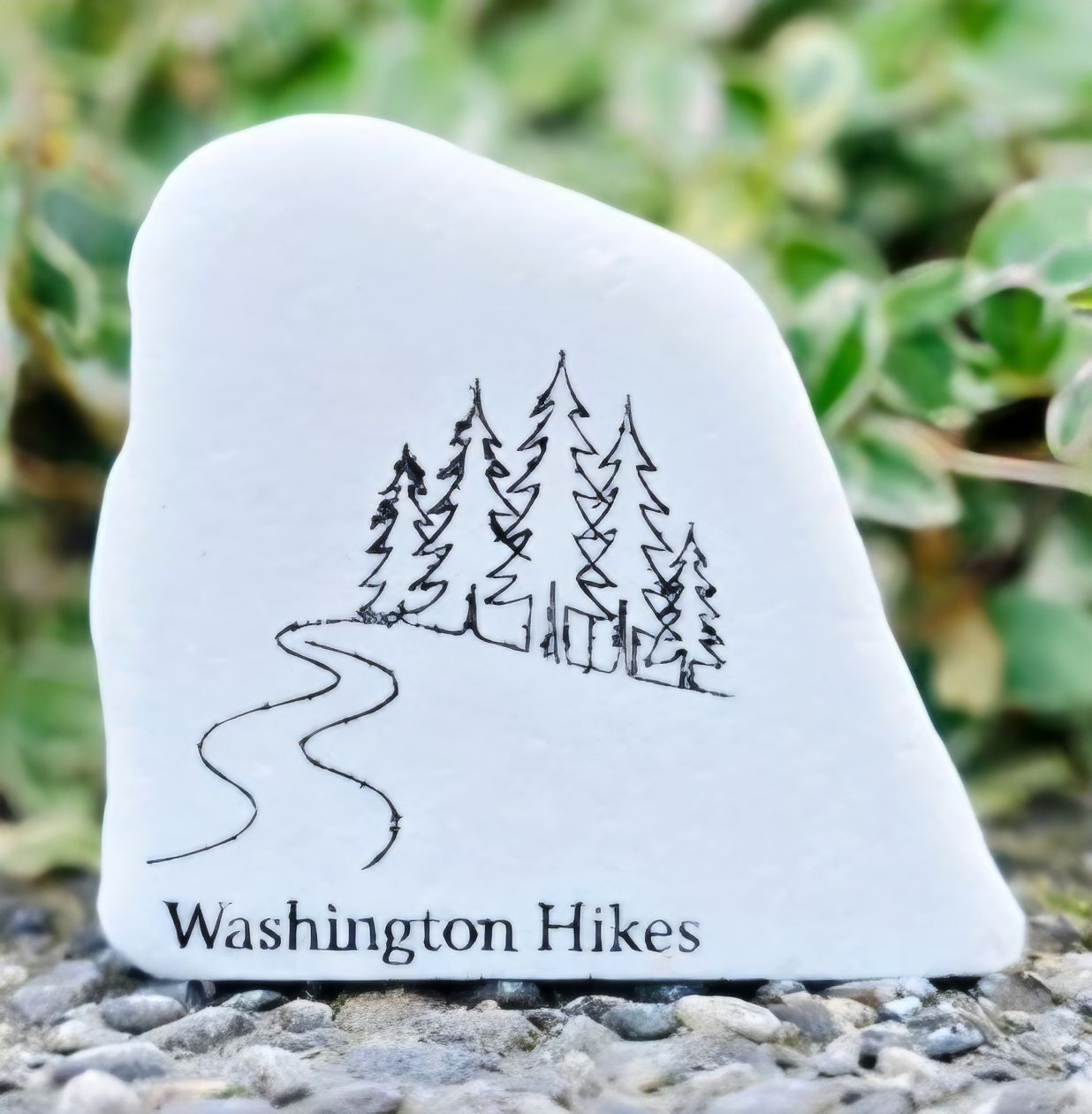 Washington Hikes Washington Hikes