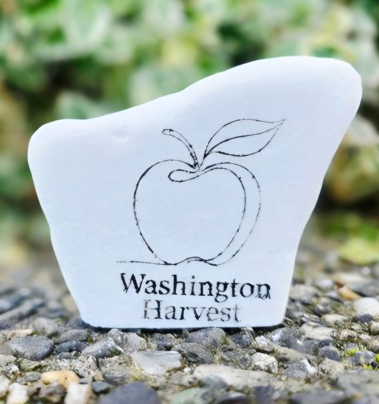 Washington Harvest Washington Harvest