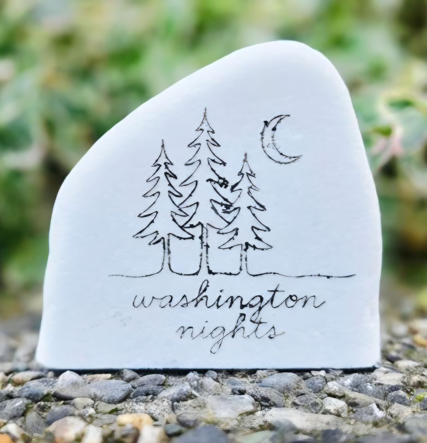 Washington Nights