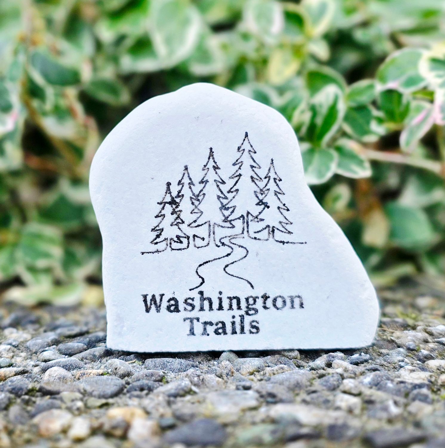 Washington Trails