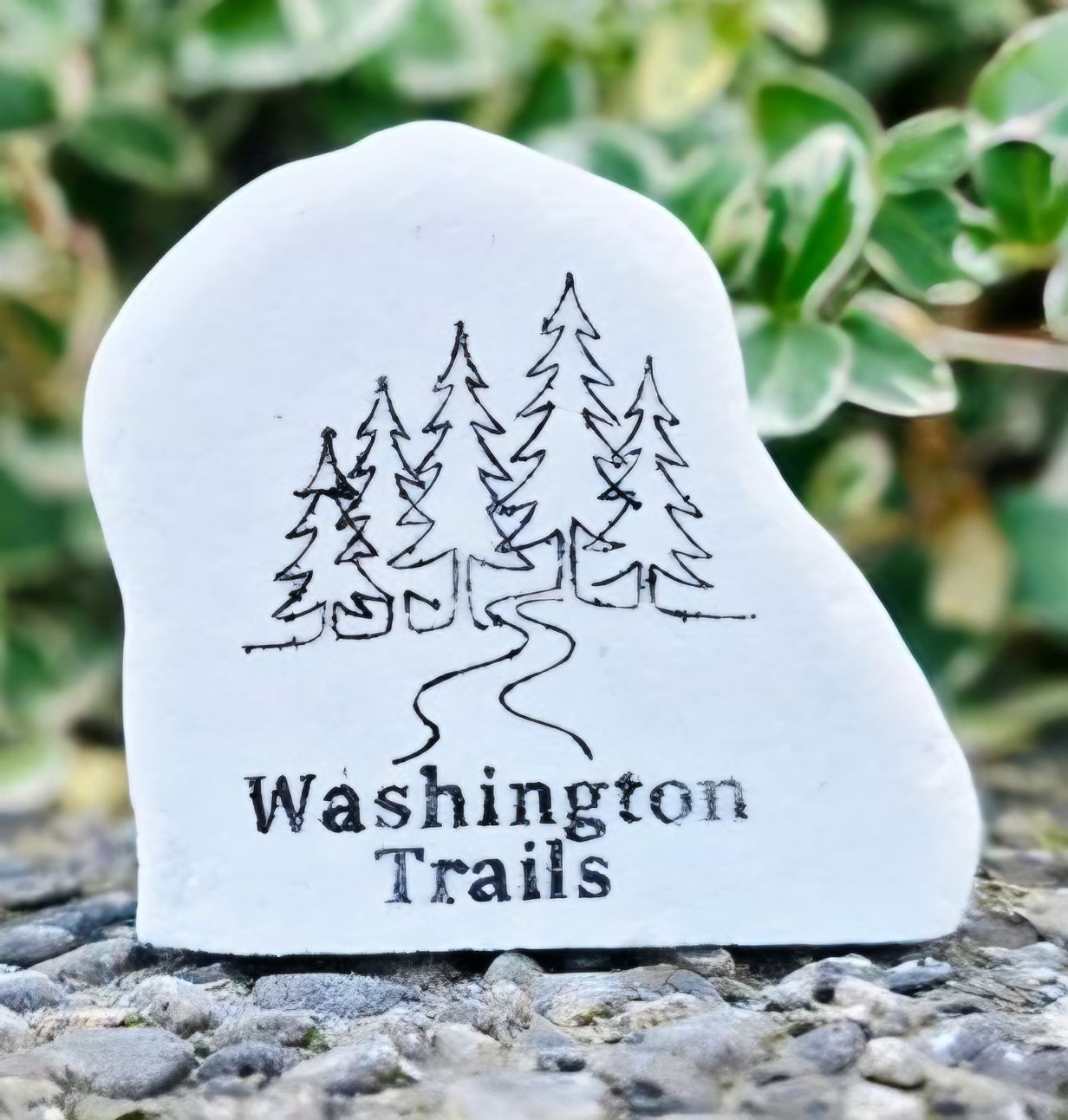 Washington Trails
