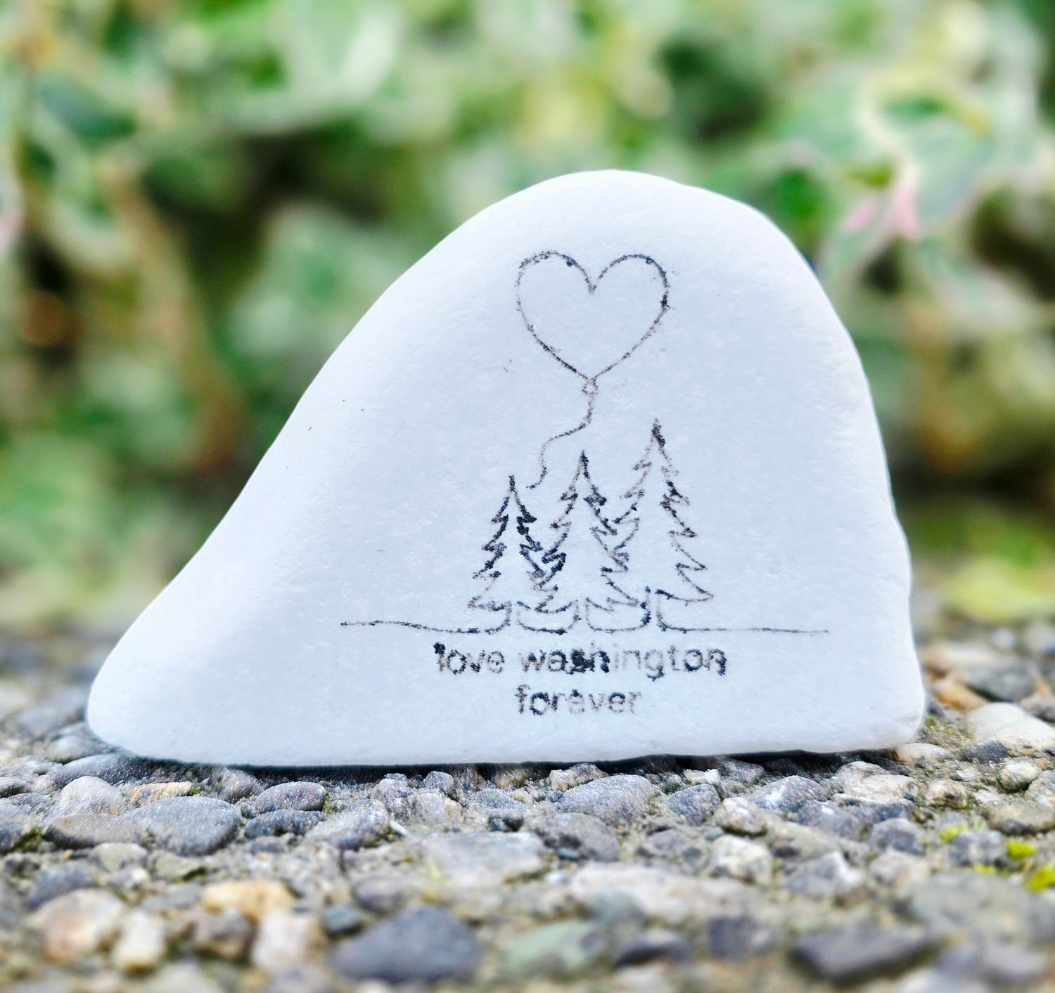 Love Washington Forever