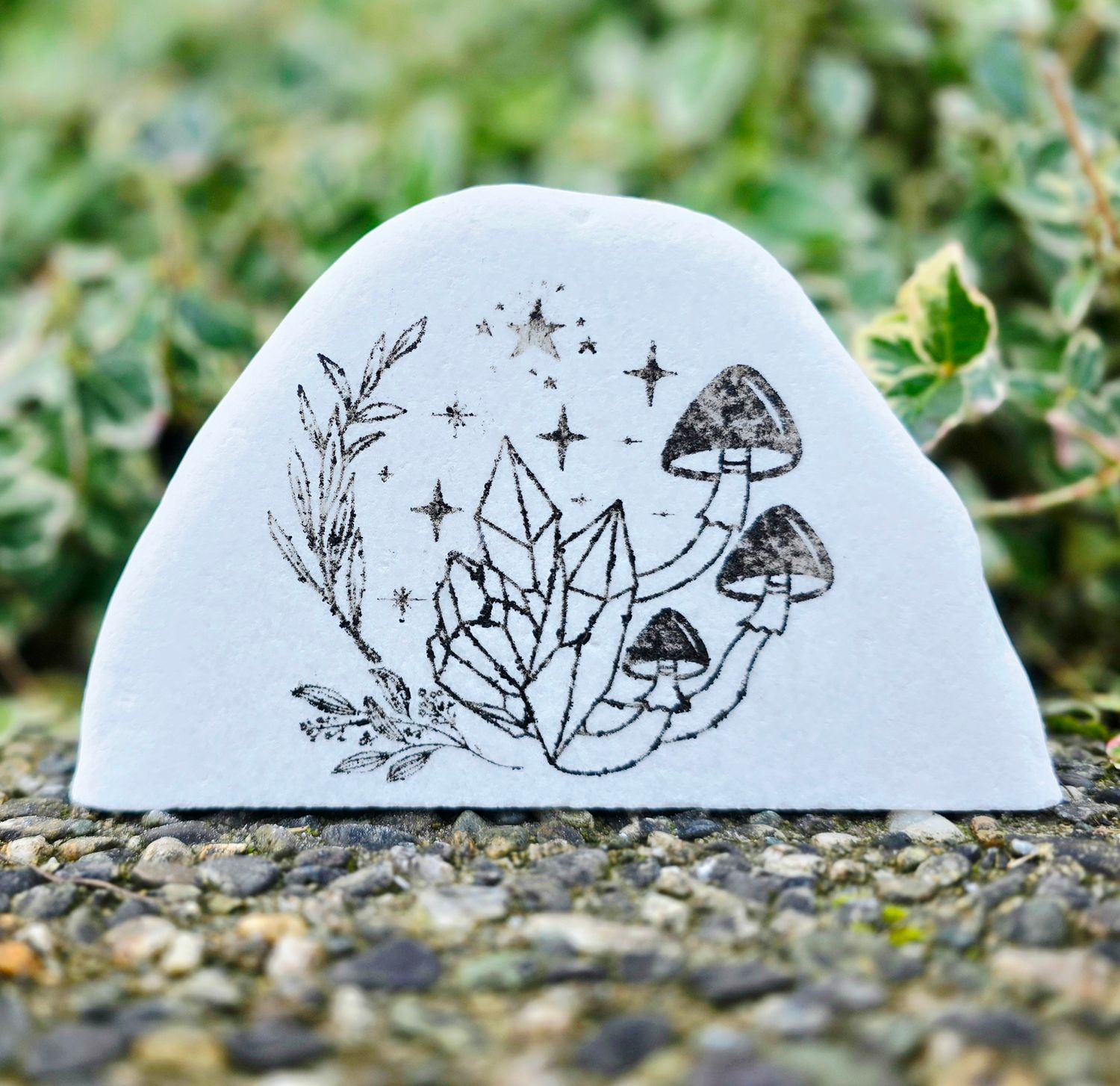 Starlit Fungi Crystals