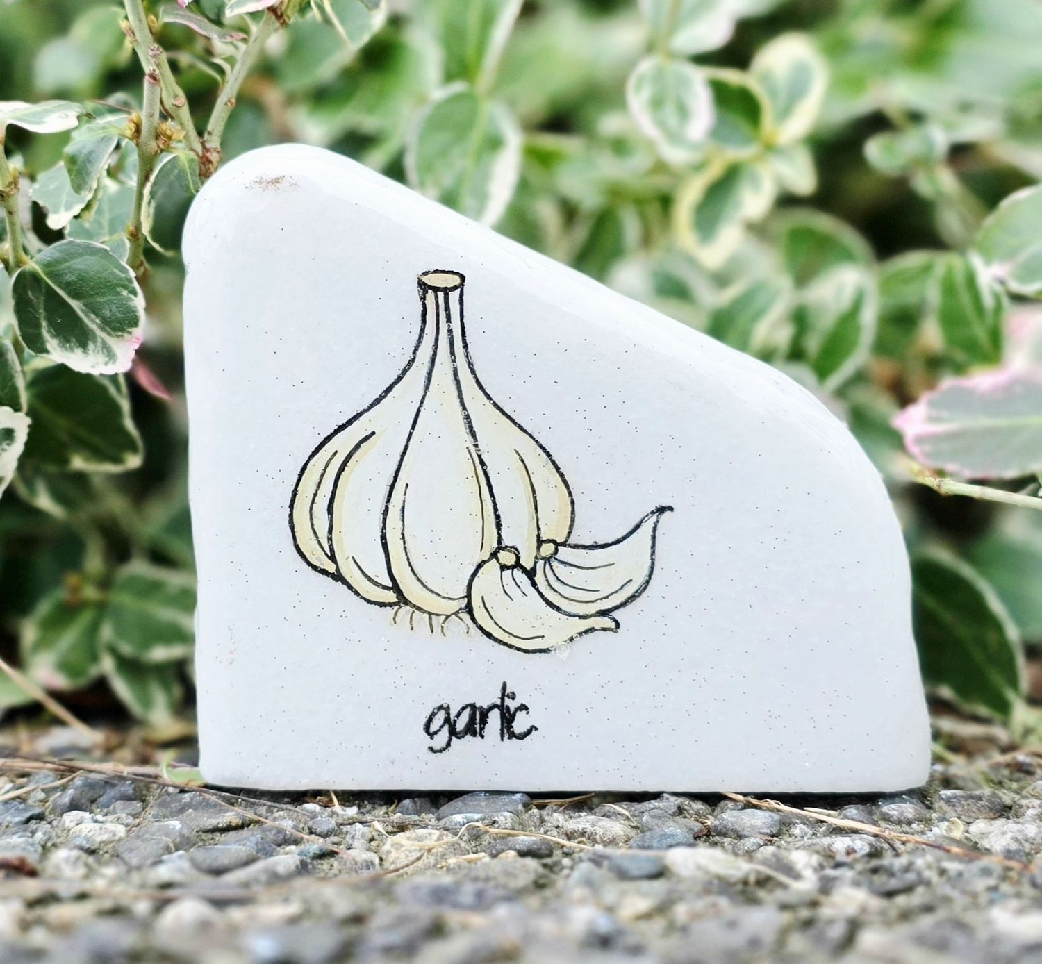 ​Garlic Bulb