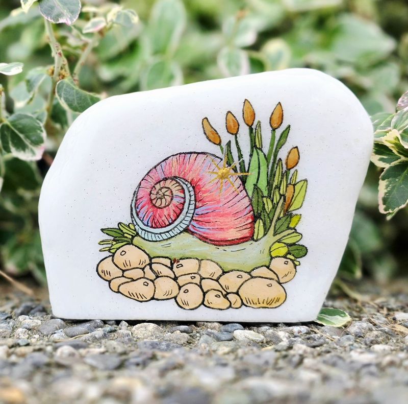 ​Pink-Shelled Snail