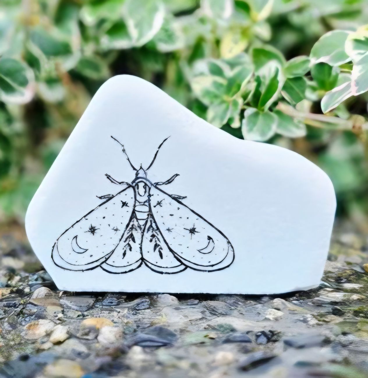 Mystic Winged Crawler