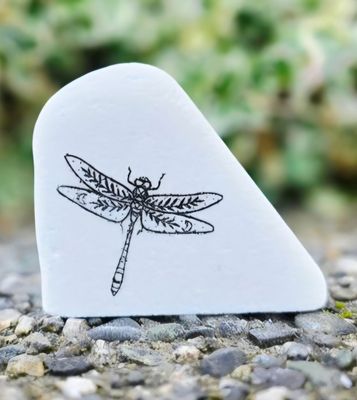Celestial Dragonfly