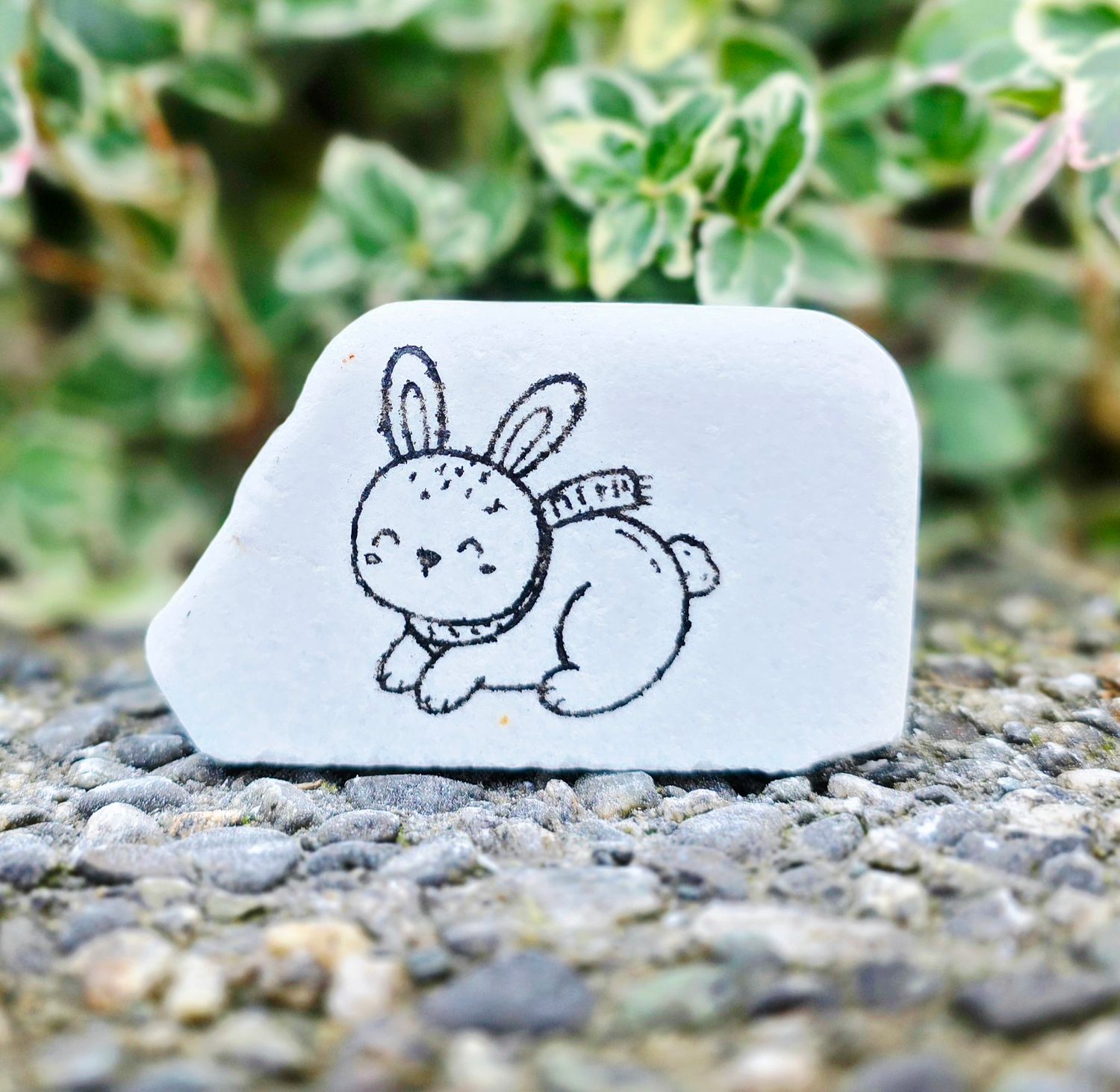 Hopper in Hibernation