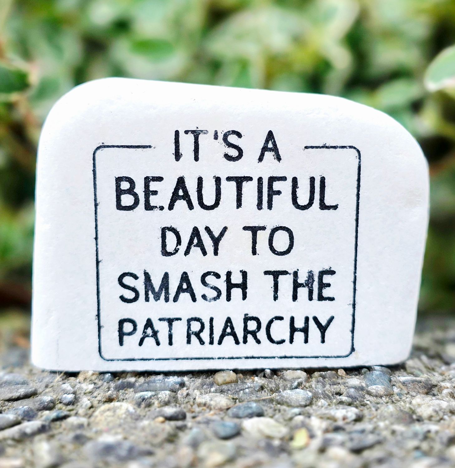 Beautiful Day for Revolution