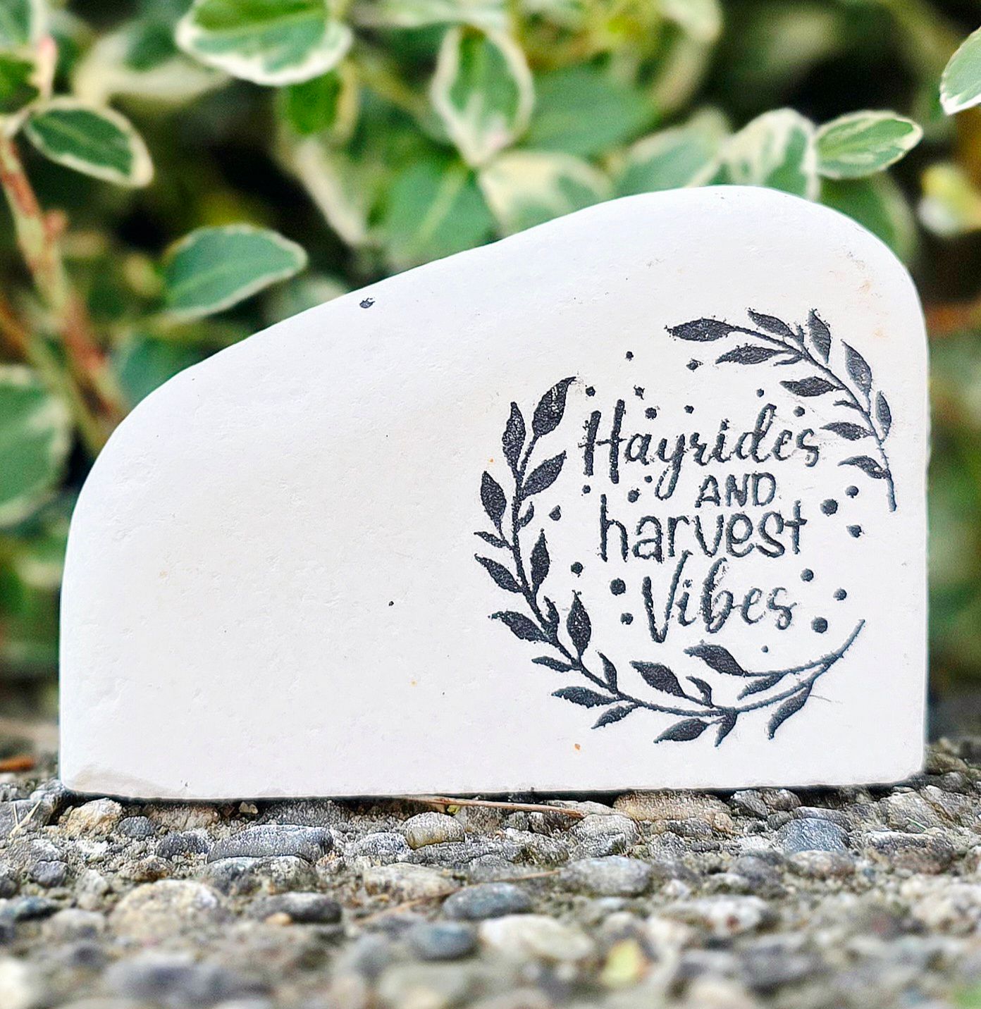 Harvest Circle Harvest Circle