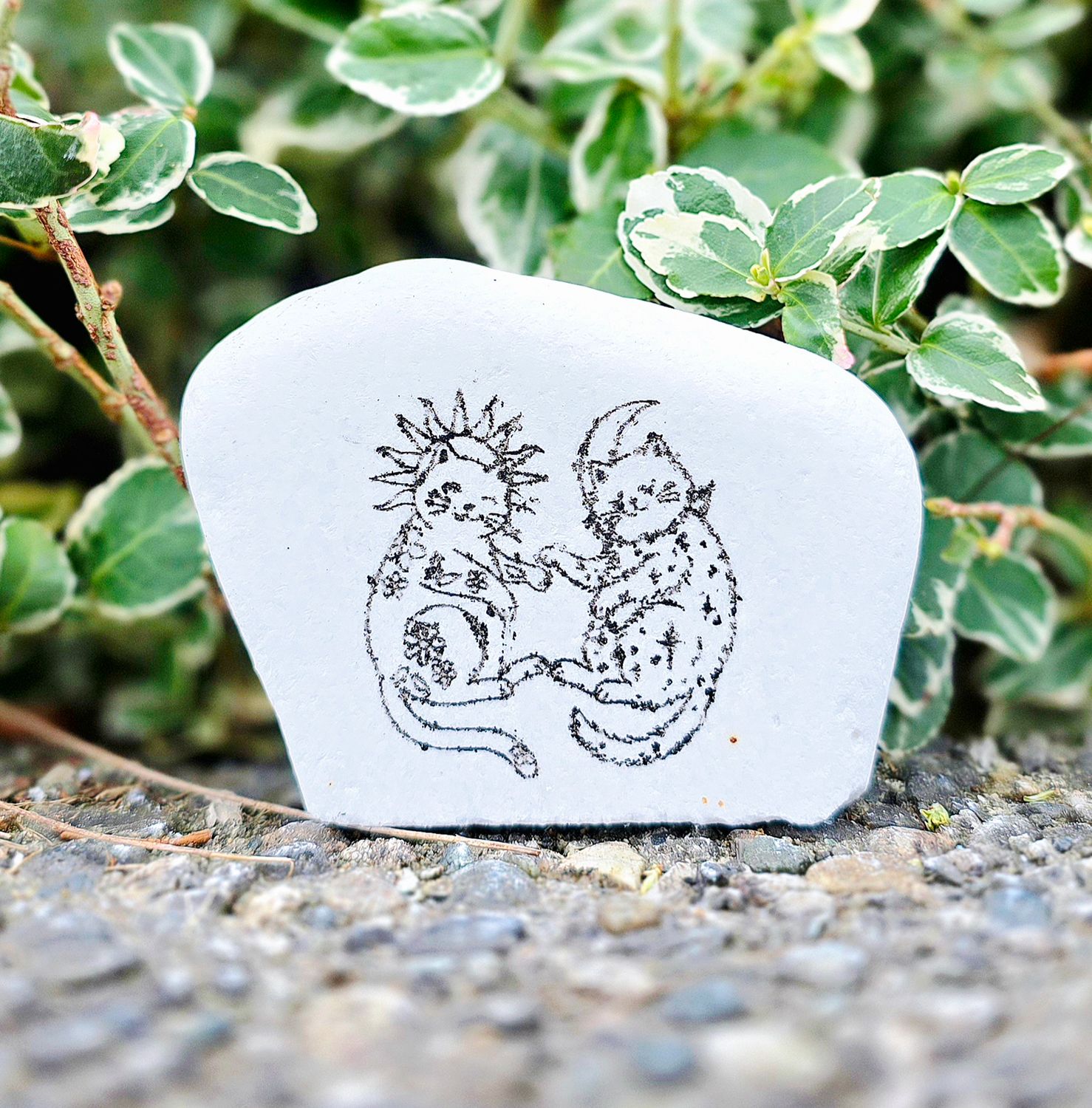 Sun & Moon Companions Sun & Moon Companions