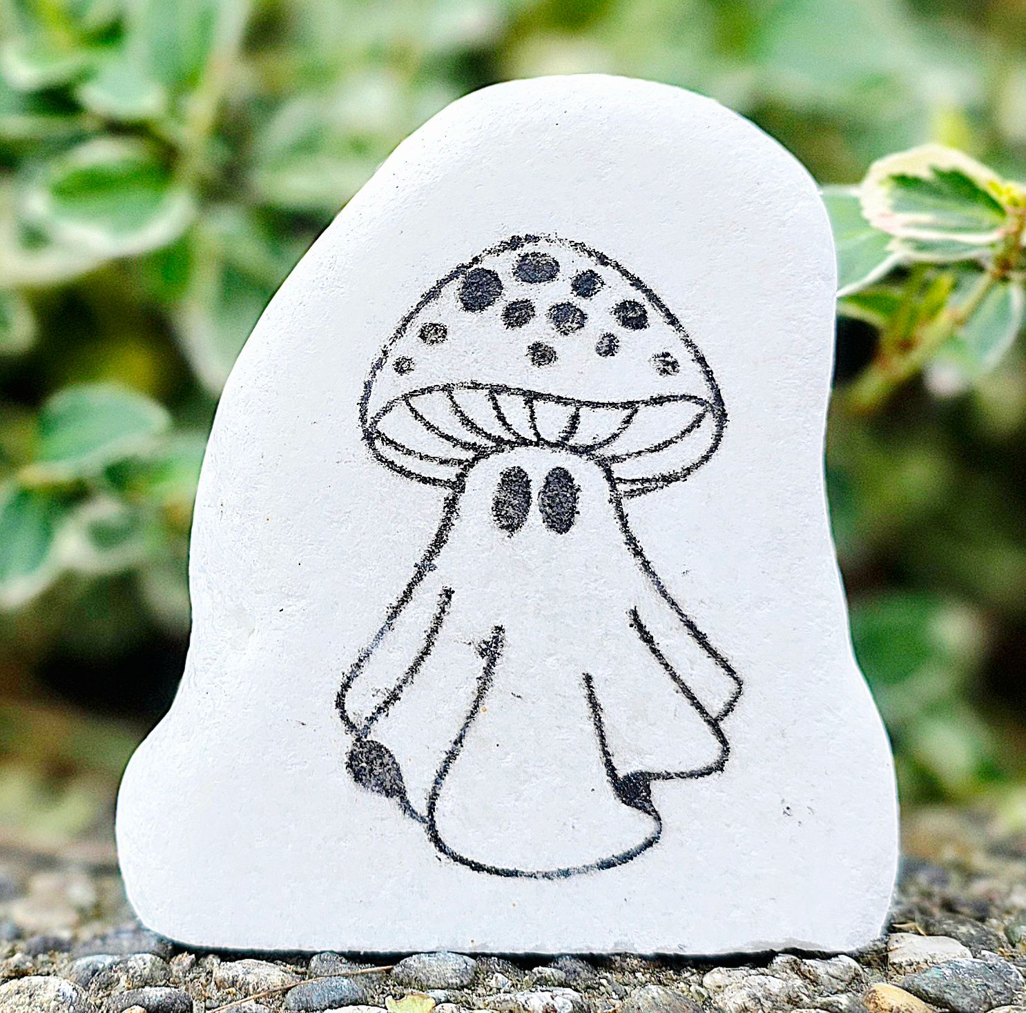 Fungi Phantom