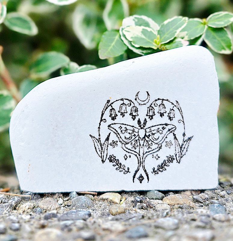 Moon Garden Butterfly