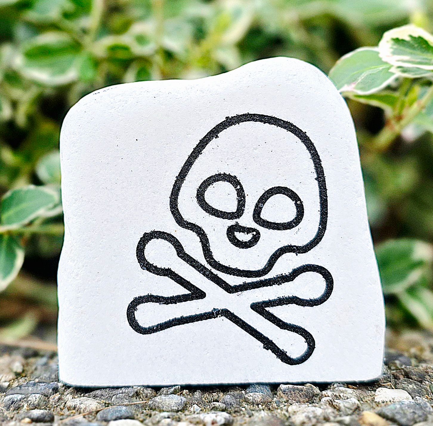 Cheeky Bones Cheeky Bones