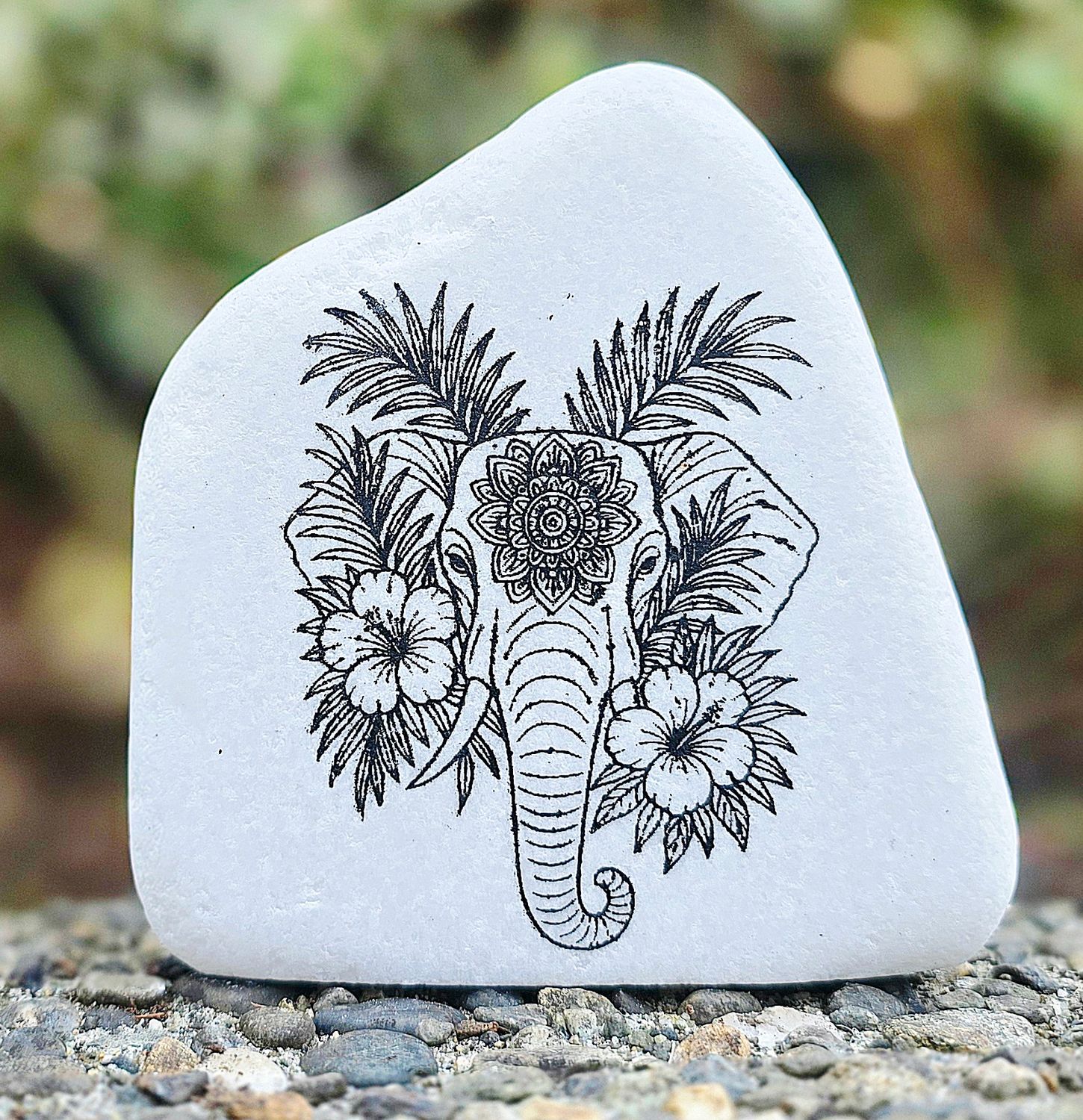 Elephant Garden