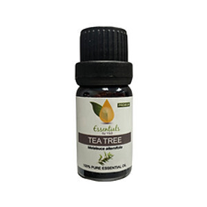 Tea Tree Essential Oil