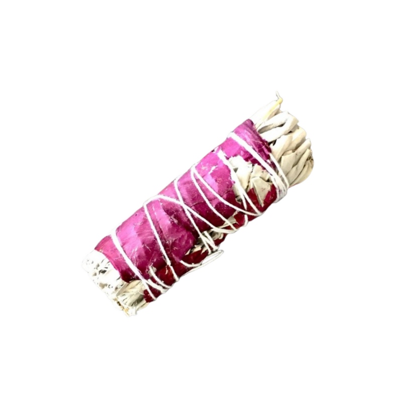 Red Rose Sage 4&quot;