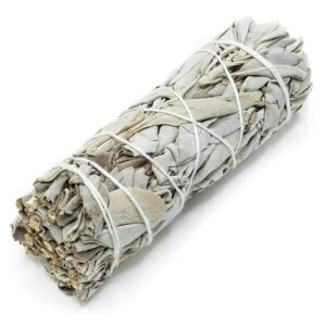 White Sage 4&quot;