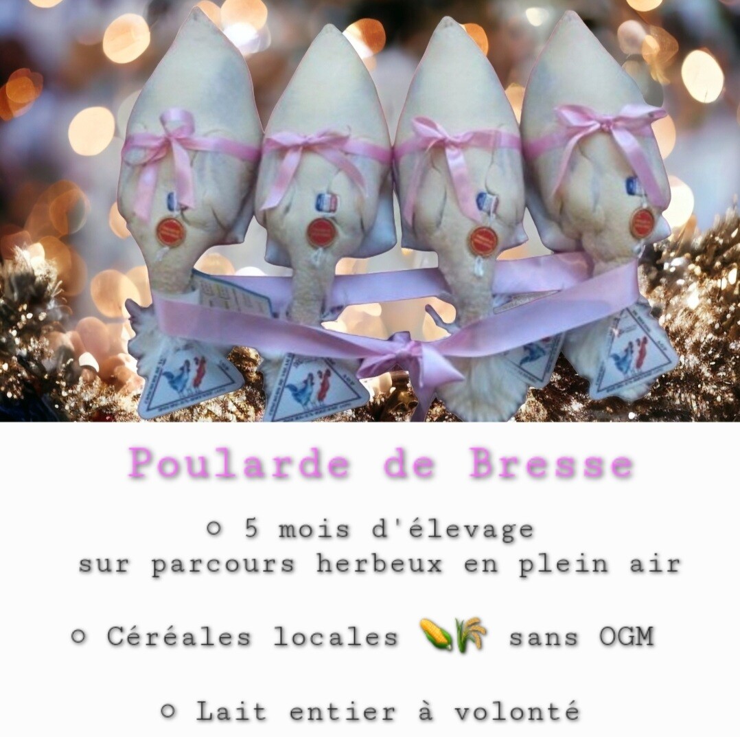 Poularde de Bresse AOP - 1.8 kg