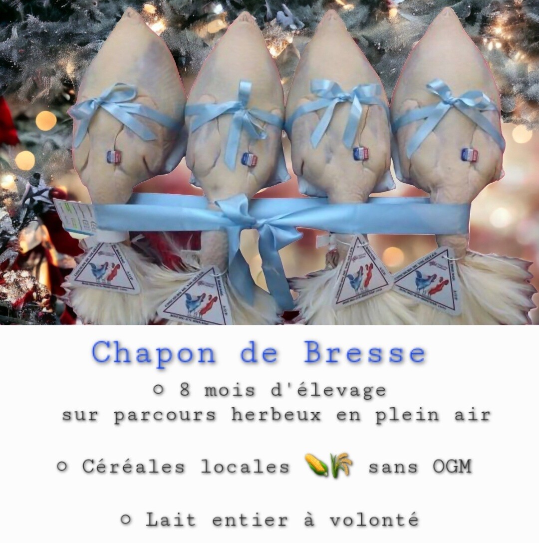 Chapon de Bresse AOP - 3.6 kg