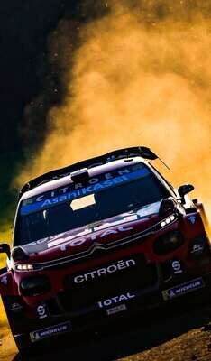 WRC Collection