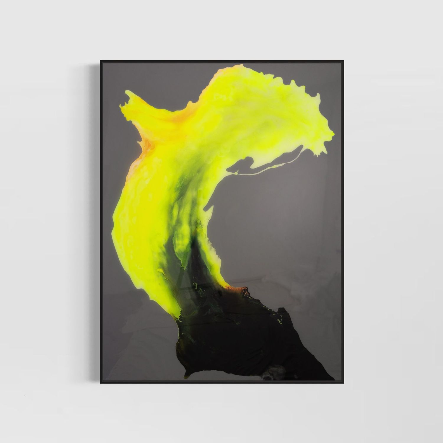 'COLORFLOW I'