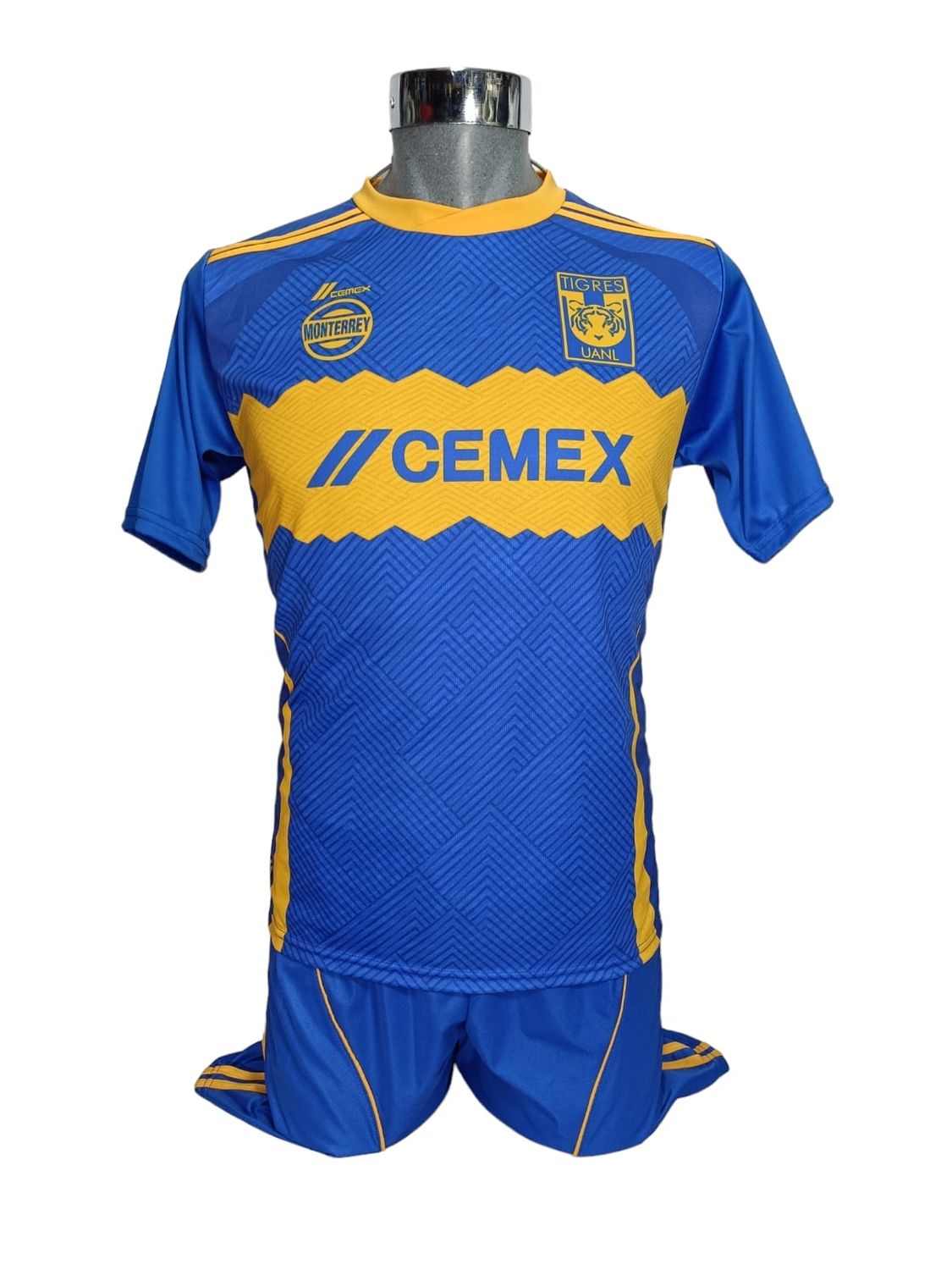 TIGRES VISITA EXCEL-FIT