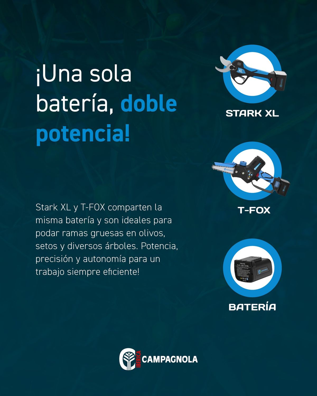 KIT MOTOSIERRA T-FOX+ TIJERA STARK M+ 2 BATERIAS