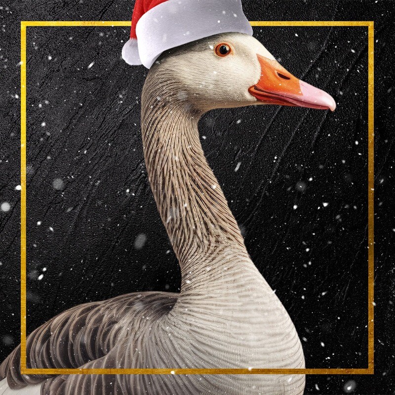 Weihnachtsgans vom 24. bis 26.12.2024