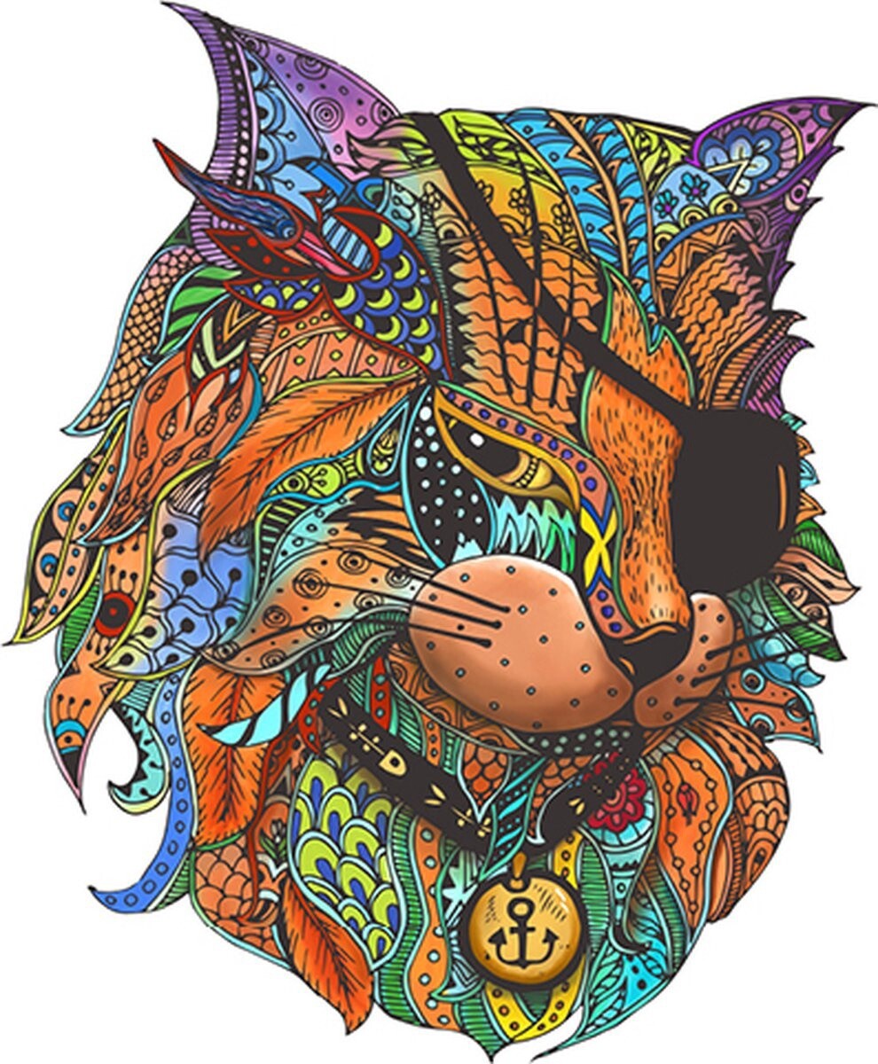 2D Regenboog houten piraten kat