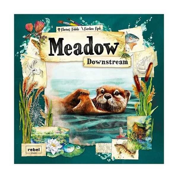 Meadow downstream